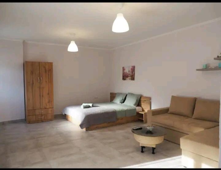 Valanidorrachi Apartment | APARTMENTS DIMITRA
