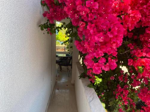 Nea Potidaia Apartment | Astradeni Suite