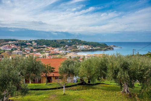 Agios Stefanos Avliotes House | Elaionas Holiday Home studios and apartments