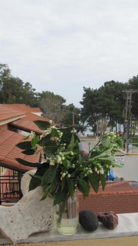 Skala Apartment | Mandola Del Mare