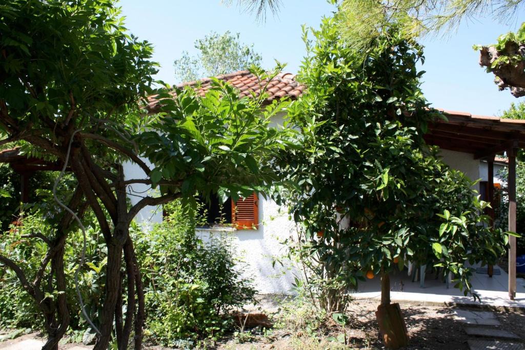 Kakovatos House | Nikos 3