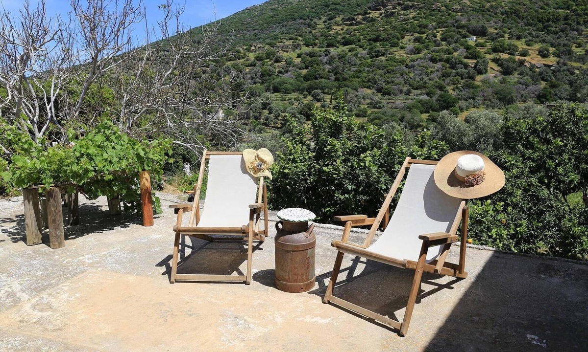 Andros Town Apartment | Oak Farm Guesthouse Junior