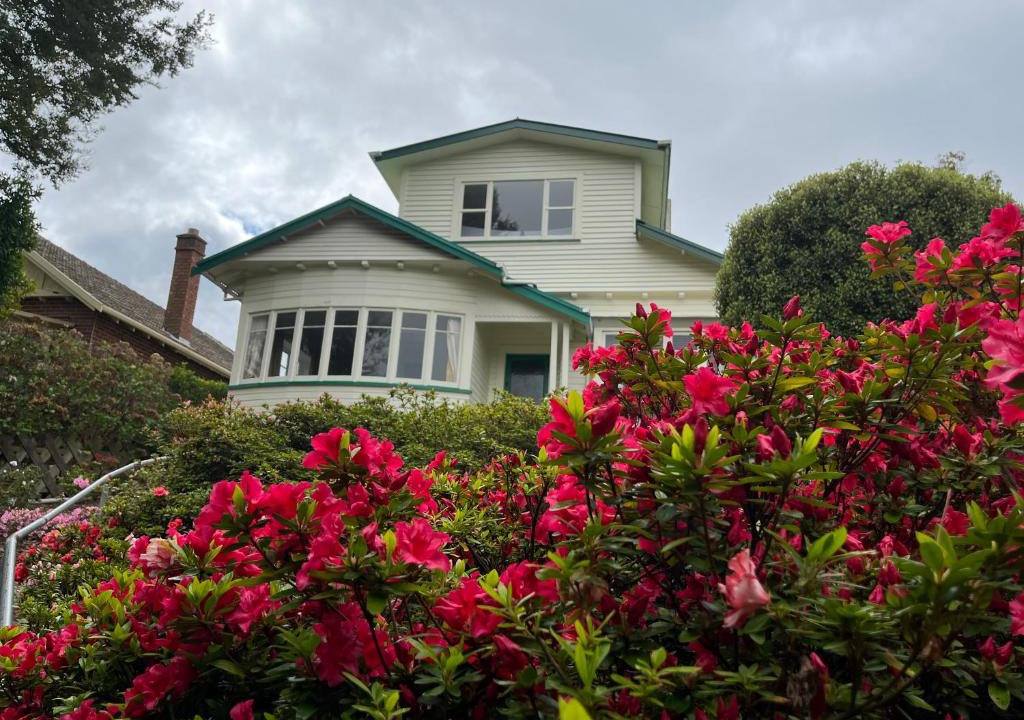 Dunedin House | Spacious comfortable character House -Maori Hill