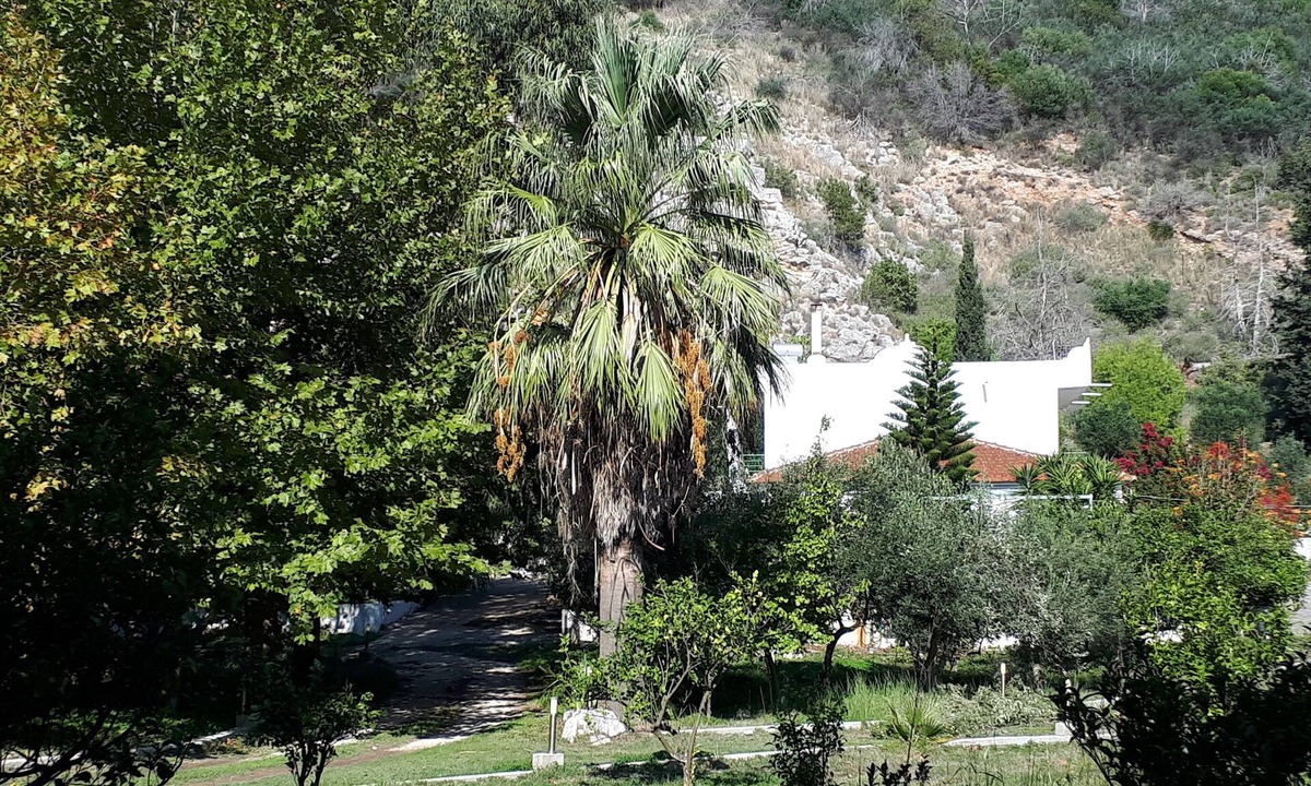 Larissos Villa | Villa Dunes