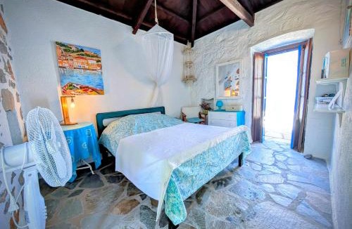 Hydra House | Blue Horizon