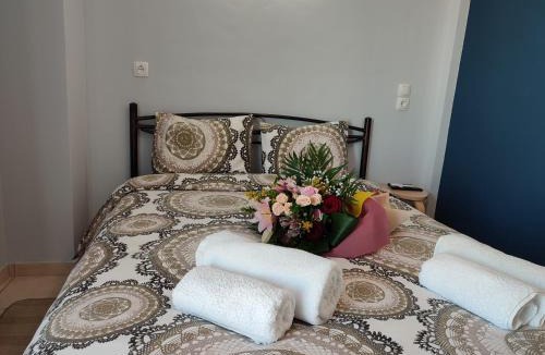 Ioannina Apartment | Dream House Ioannina, Near university and hospital,Parking and fast WiFi