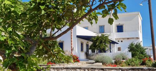 Kithira House | Drymonas Heights Kythira Traditional Volto
