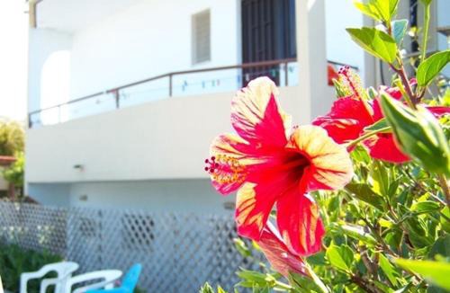 Theologos Apartment | Evi Apartments And Studios
