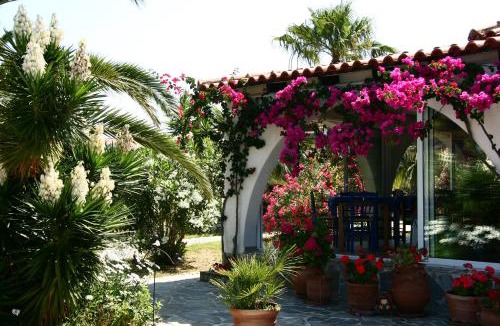 Pineios Apartment | Helidonia