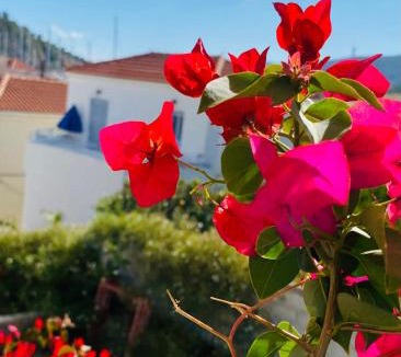 Poros House | Island Traditional House
