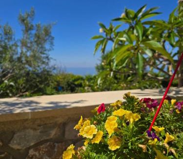Agia Roumeli House | Stone Apartment in Agia Roumeli