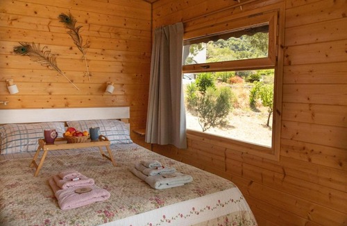 Rio House | the Treehouse Project
