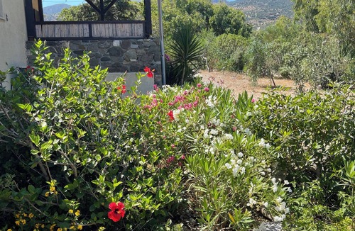 Sitia House | Vacation home directly on the Cretan sea quiet, close to nature, pet-friendly