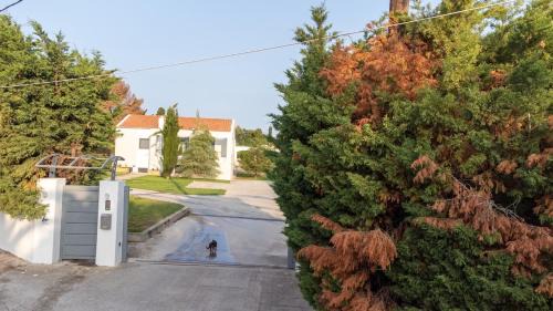 Ampavris Villa | Villa Luce