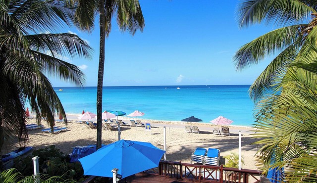 Beachfront apt on stunning paynes bay - Bora Upper in Paynes Bay