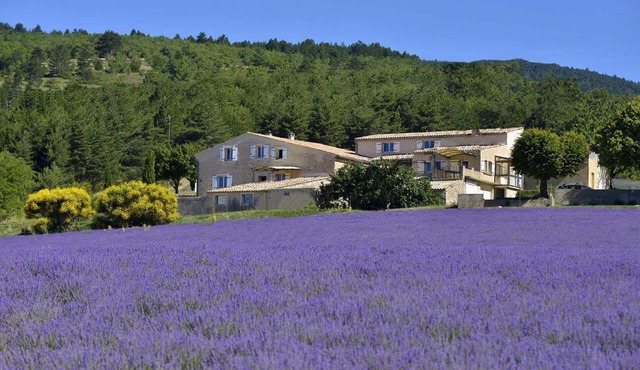 Between Ventoux and Luberon * in Aurel