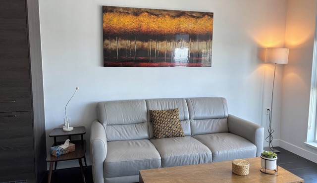 Burnaby Metropolis Metrotown/1bedroom Condo/AC/Skytrain/Pool/Gym in Burnaby