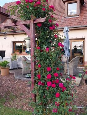Chambre D'hotes Le Clos Fleuri in Criel-sur-Mer