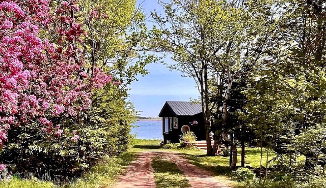 Cordial House - private Oceanside cottage, just minutes from Cavendish! in Stanley Bridge