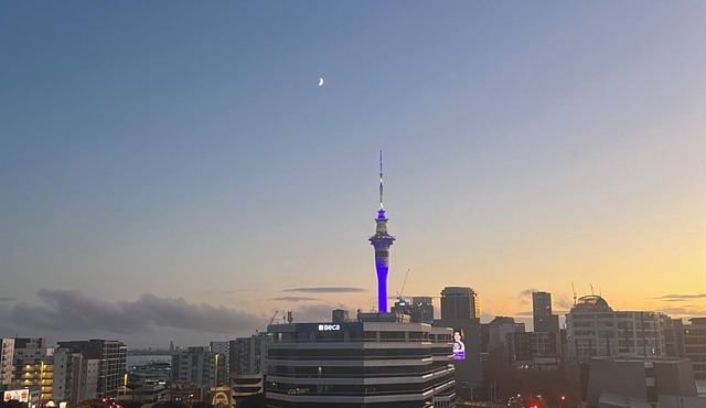 Cozy 2 bedroom central Auckland city apartment with free car park! in CBD