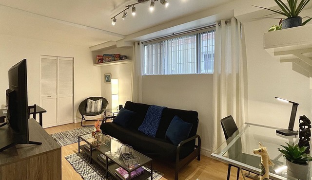 Cozy Apt in Great Central location + free parking - 31 night minimum in Montréal