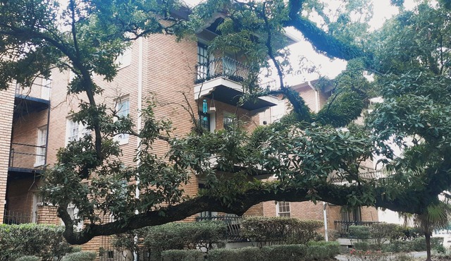 Cozy Vintage Studio Close To Downtown in Mobile
