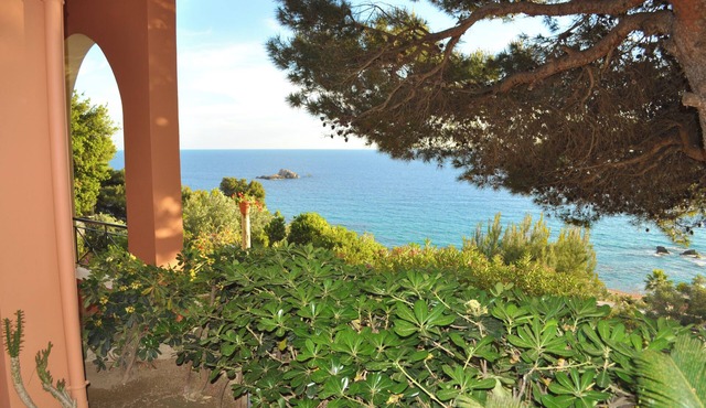 Family Friendly Apartments With a Swimming Pool on Pelekas Beach