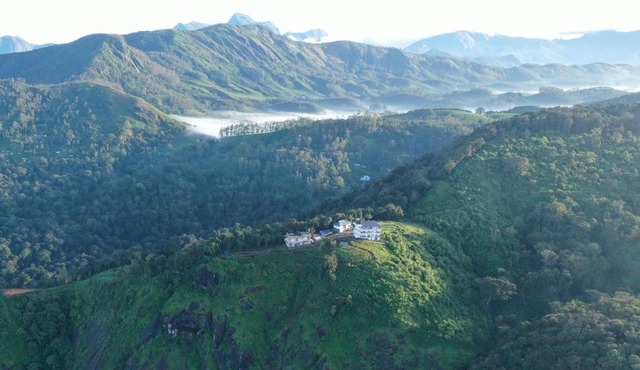 Forest County in Munnar