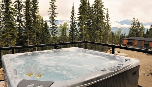 Great for large or multiple families. 2 minute walk to ski in/out trail. in Golden