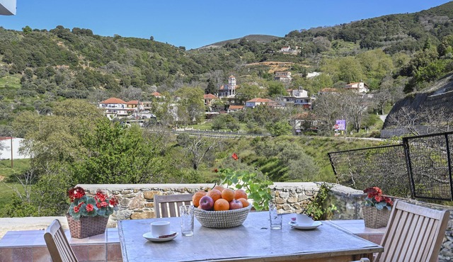 Green Oasis in tranquil village