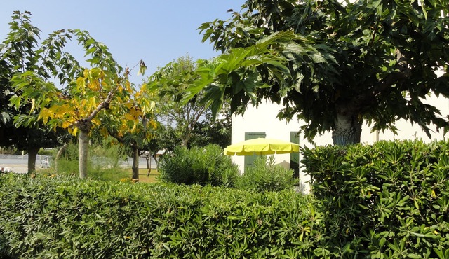 GROUND FLOOR DIRECT ACCESS BEACH 'uncrowded' Gde Terrace in Le Barcarès