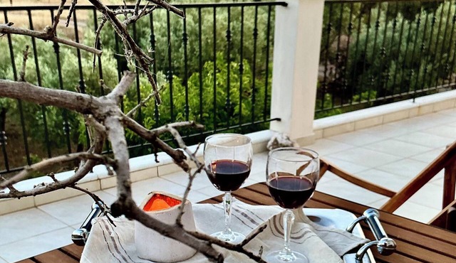 Horizon House With olive grove and vineyard