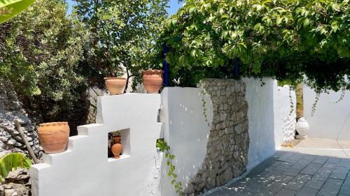 Iris Studios
