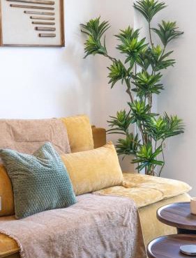 Lemon Tree - Private Garden & View
