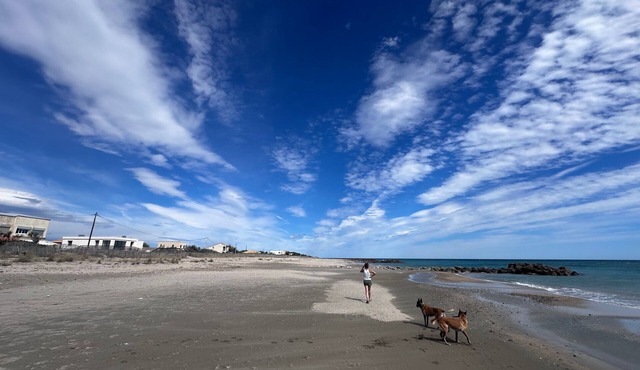 Maison Front de Mer Aresquiers | Direct beach access | 4 bedrooms in Frontignan