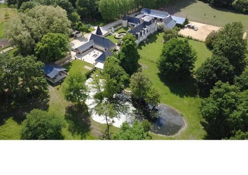 Manoir, vignes et chevaux au cœur des châteaux in Joué-lès-Tours