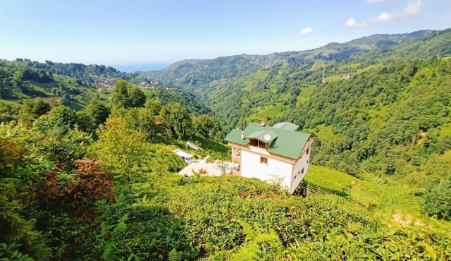 Onsakku Dağ Evi in Ardeşen