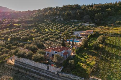 The Olive Grove Villa with private swimming pool