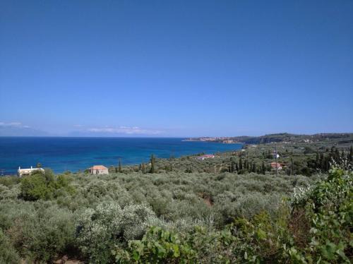 Aggeliki 