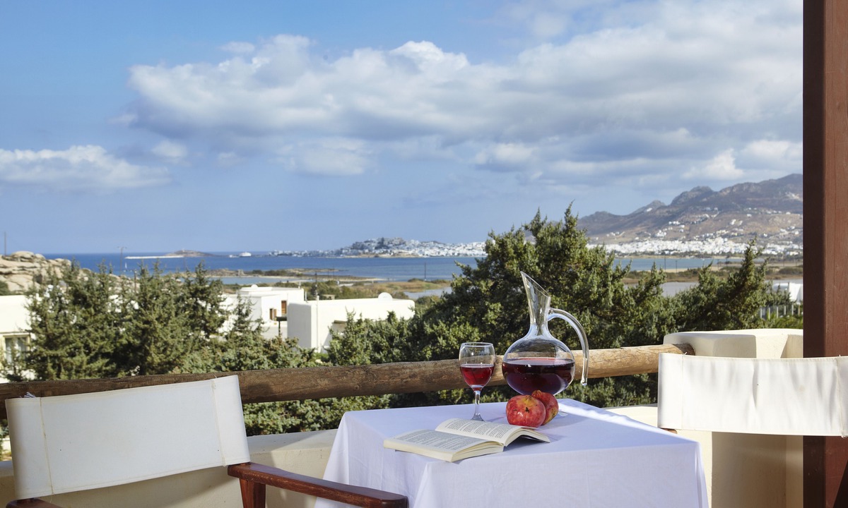Agios Prokopios Apartment | Kedros Villas