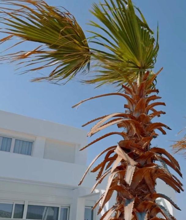 Lahania Villa | Seapalm Villa - Elegant Stay - Steps from the Sea