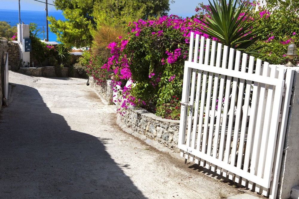 Photo of Others in Mykonos Town