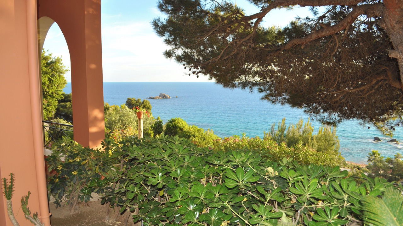 Photo of Patio Balcony in Parelia
