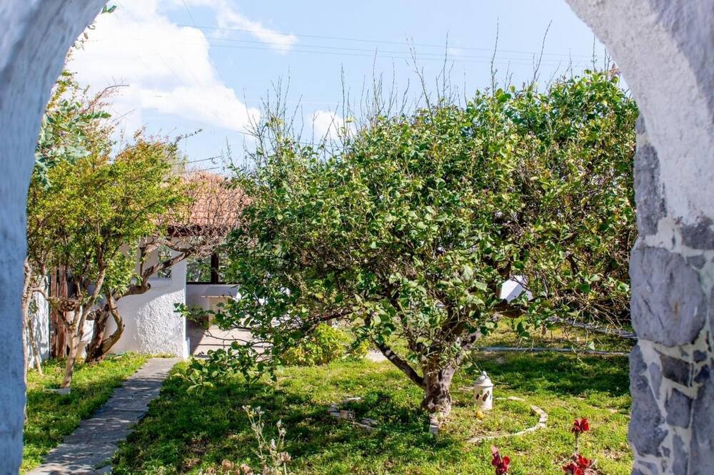 Photo of Outdoor in Vathianos Kampos