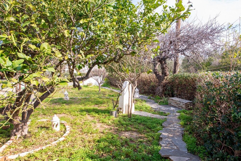 Photo of Outdoor in Vathianos Kampos