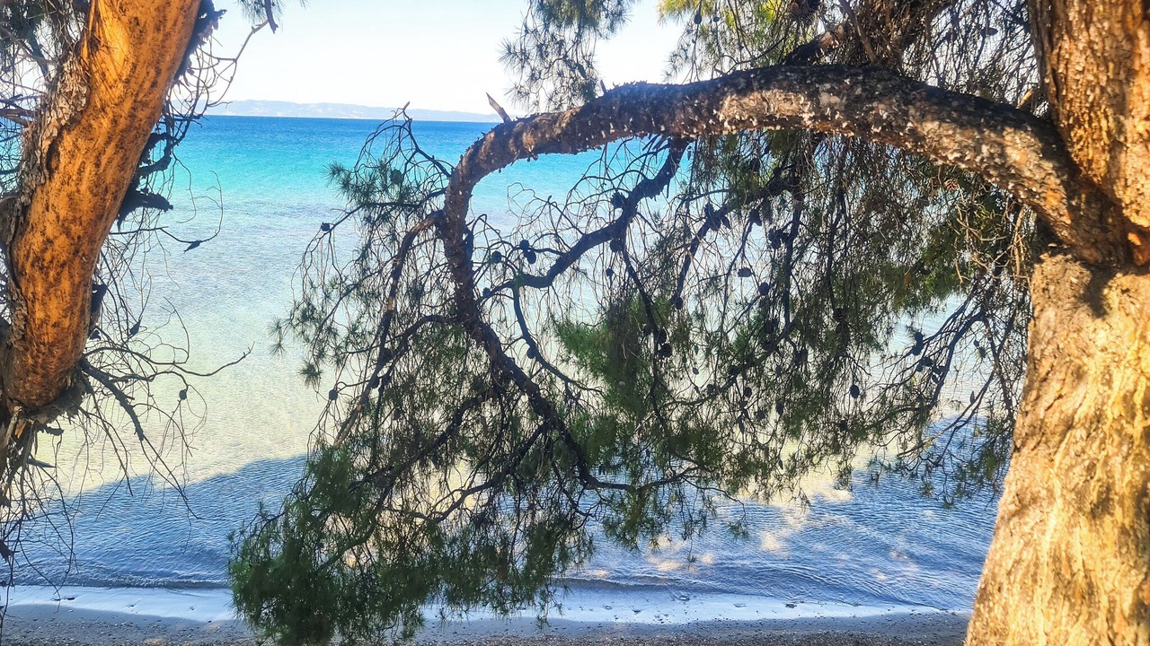 Photo of Patio Balcony in Elia Nikitis