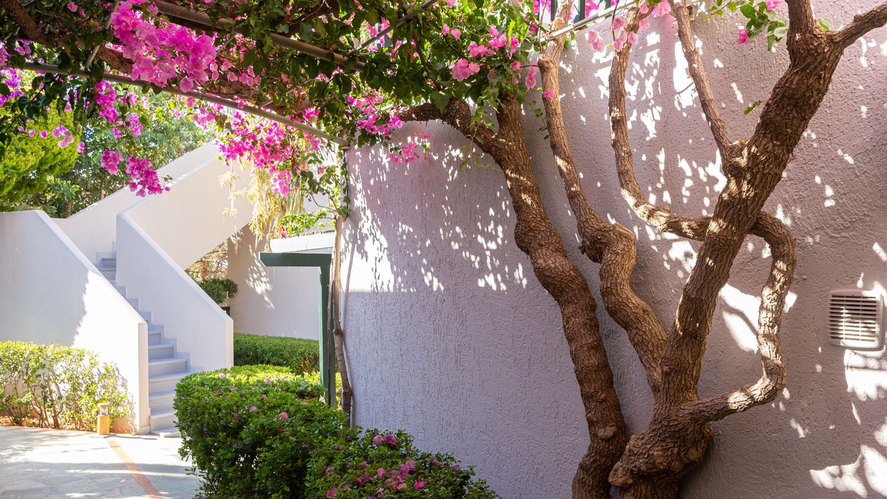 Photo of Outdoor in Anissaras