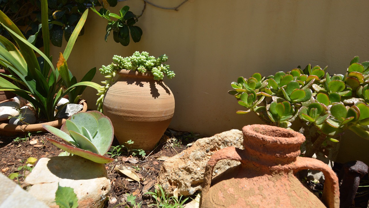 Photo of Outdoor in Anissaras