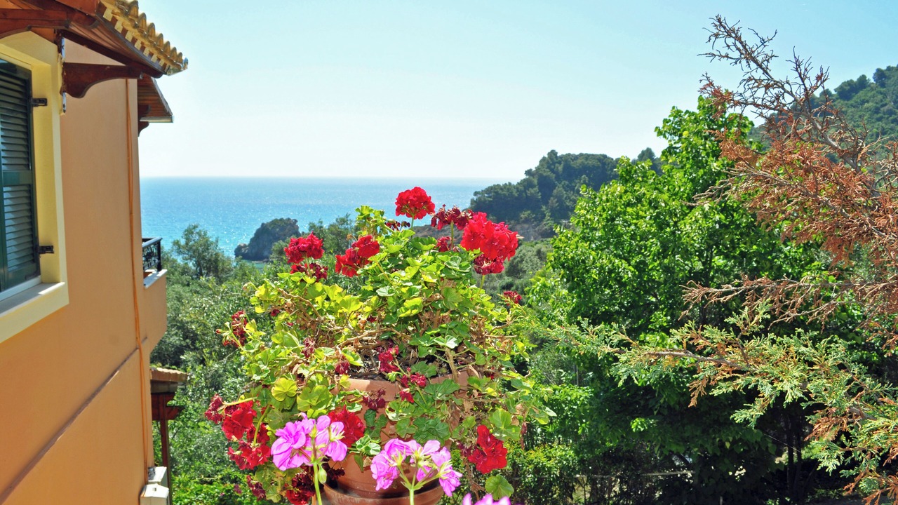 Photo of Patio Balcony in Sinarades