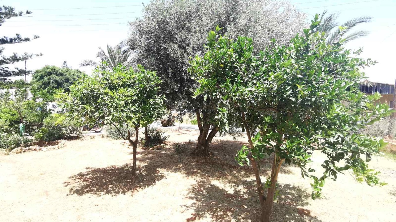 Photo of Outdoor in Stalida